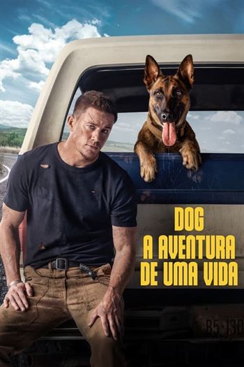 Dog – A Aventura de Uma Vida Torrent (2022) BluRay 720p | 1080p | 2160p Dual Áudio e Legendado